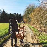 Kindvriendelijke wandelroutes met Natuurpunt